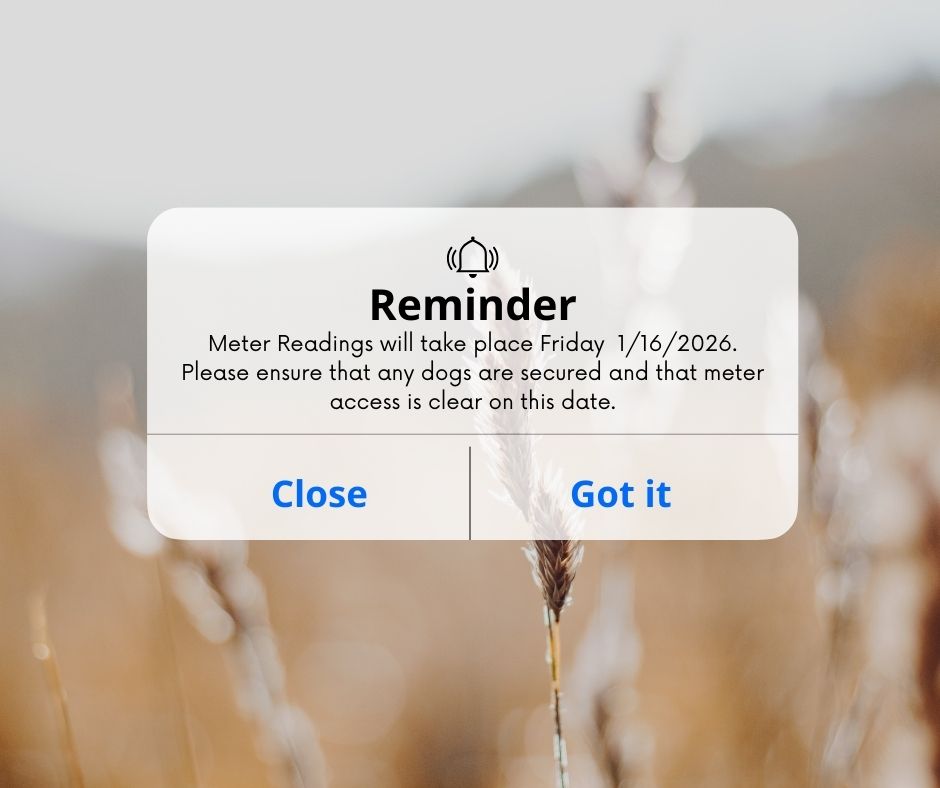 January Meter Reading Notice